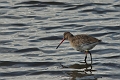 05 03 15_2316_edited-1